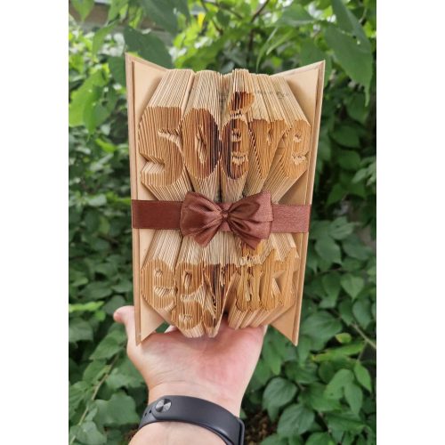 Könyvszobor évfordulóra