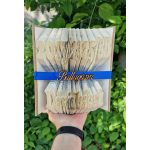 Egyedi 2 soros könyvszobor (hosszú szöveggel)