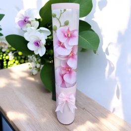 Rózsaszín orchideák, rózsaszín díszdobozban