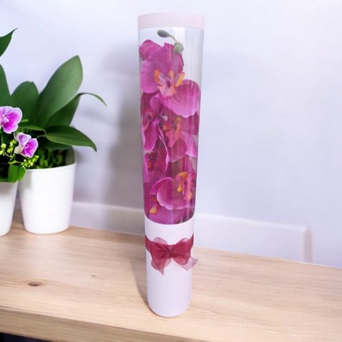 Ciklámen orchideák, fehér díszdobozban