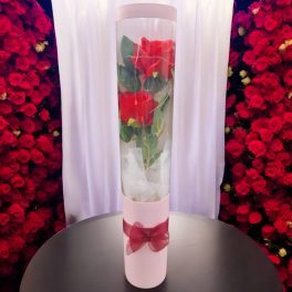 Vörös rózsák, rózsaszín díszdobozban