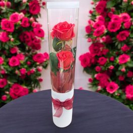Vörös rózsák, fehér díszdobozban