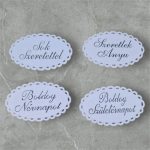 Rózsaszín szegfű, fehér díszdobozban