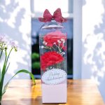 Piros szegfű, rózsaszín díszdobozban